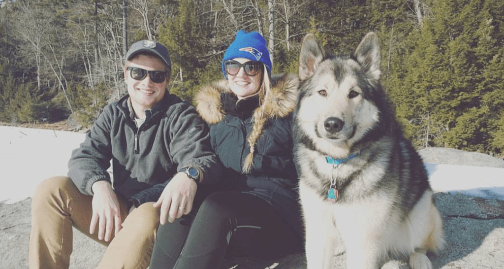 Alaskan malamute community 44