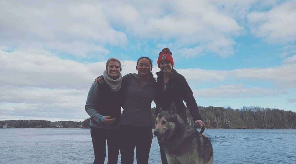 Alaskan malamute community