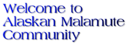 alaskanmalamutecommunity.c